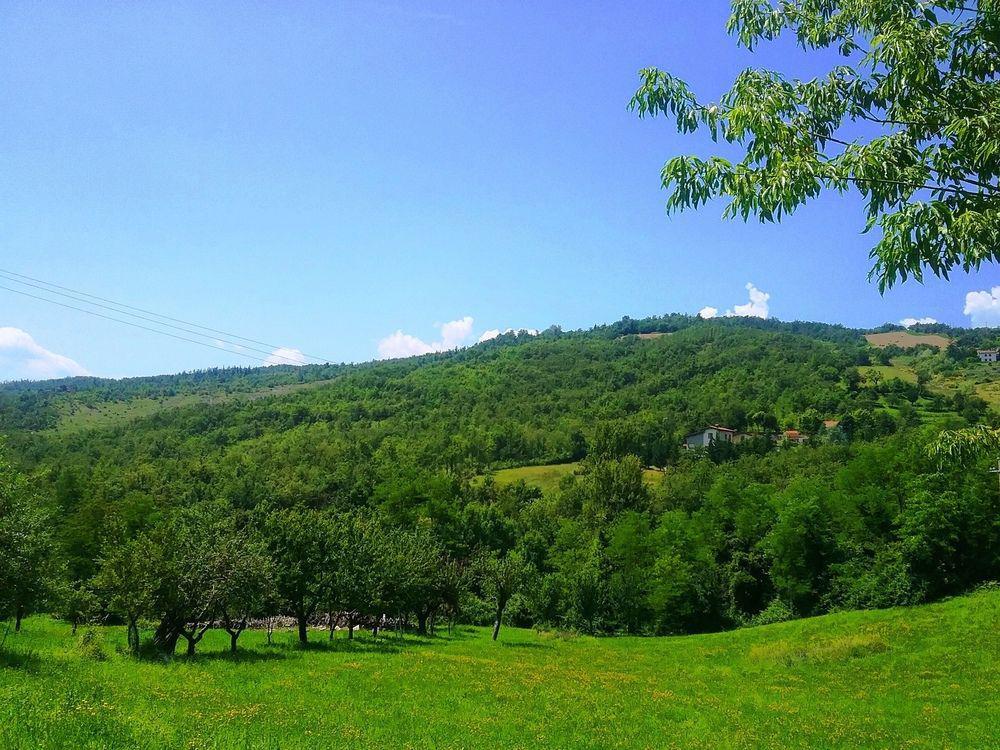 Il Mio Rifugio Hostal Gaggio Montano Exterior foto